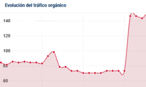 Posicionamiento SEO Gráfica. Agencia de marketing digital en Córdoba